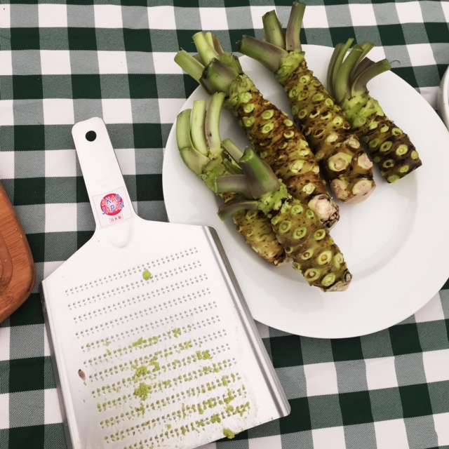 wasabi rhizome