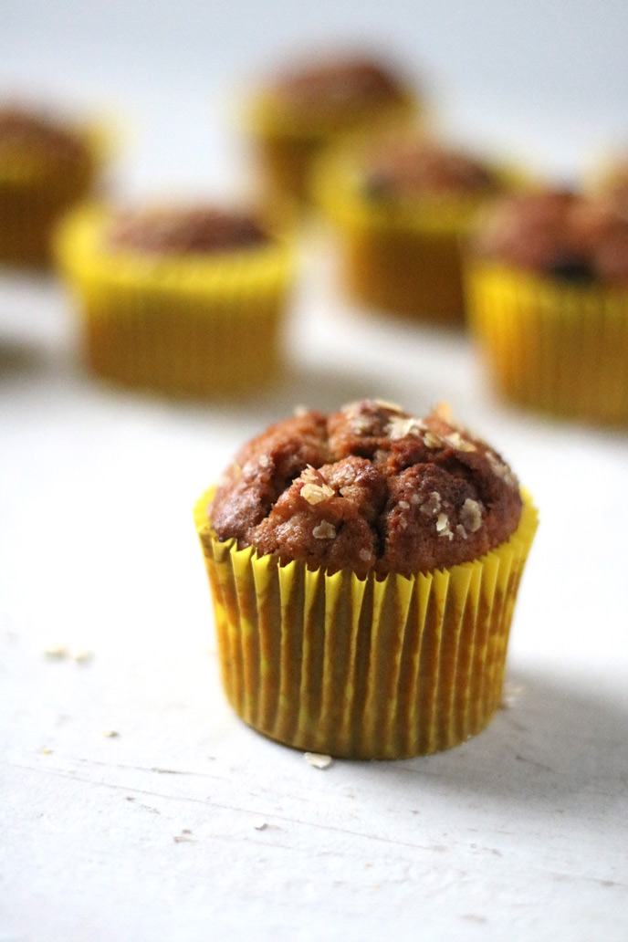 oat raisin muffin